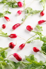 fresh harvest of young radishes with tops on white baclground. Top view. Flatlay