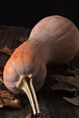 Obraz premium pumpkin laying on wooden floor