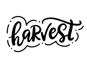 Harvest fest typography poster with hand drawn lettering