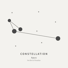 The Constellation Of Apus. The Bird of Paradise - linear icon. Vector illustration of the concept of astronomy.