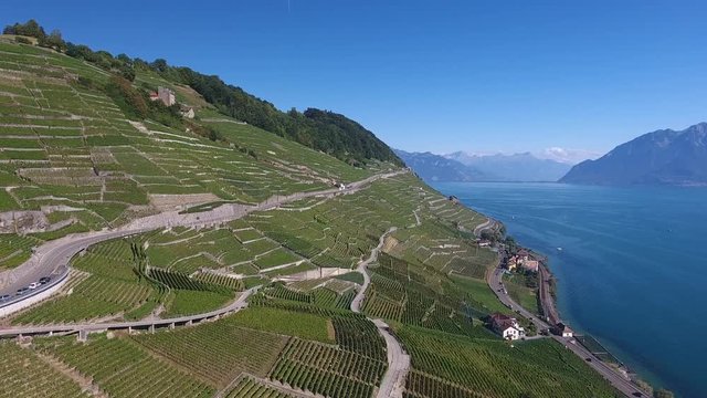 Vigne du Lavaux - drone - suisse 