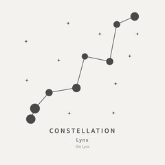 The Constellation Of Lynx. The Lynx - linear icon. Vector illustration of the concept of astronomy.