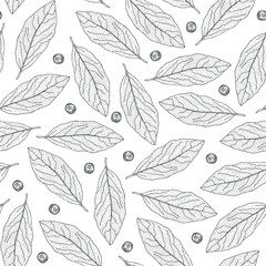 Spice pattern. Hand drawn seamless pattern with Bay leaves and allspice. Vector drawing on white background.