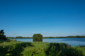 Fototapeta na wymiar Krakower See, Krakow am See, Mecklenburgische Seenplatte, Schilf, Insel