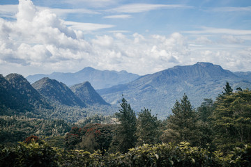 Obraz premium sri lankan landscape