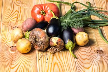 Set of different fresh raw colorful vegetables near the wooden tray, light background
