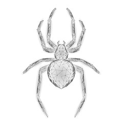 Low poly spider hacker attack danger. Web security virus data safety antivirus concept. Polygonal modern design business concept. Cyber crime web insect bug technology vector illustration