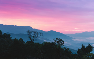 Sweet twilight sky after sunset at silhouette mountain of tropical rainforest.
