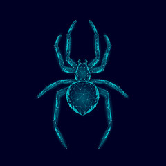 Low poly spider dangerous arachnids. Web security virus data safety antivirus concept. Polygonal modern blue glowing design business concept. Cyber crime web insect technology vector illustration