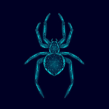 Low poly spider dangerous arachnids. Web security virus data safety antivirus concept. Polygonal modern blue glowing design business concept. Cyber crime web insect technology vector illustration