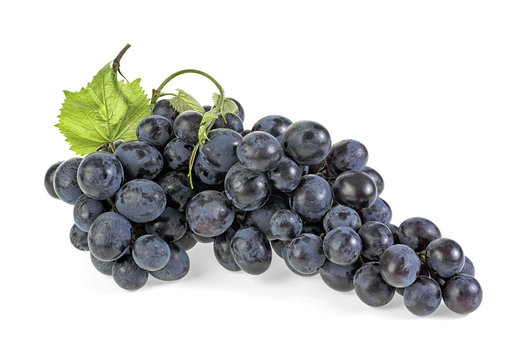 Blue grapes with leaves isolated on white background