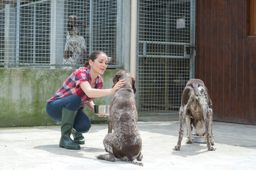 at a dog's home
