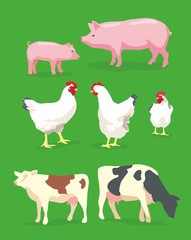 Cow, pig and chicken on green background. Vector flat illustration
