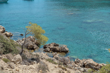 Quiet turquoise cove