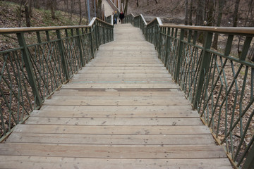 Obraz premium Solitude concept. grey autumn park. stairs up