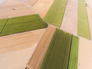 Shapes in the field, Richarville, Essonne, France