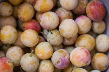 sweet and fresh mirabelles