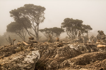 M&atilde;e Terra. Pico da Bandeira, ago/2018.