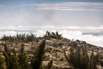 Mar de nuvens. Pico da Bandeira, ago/2018.