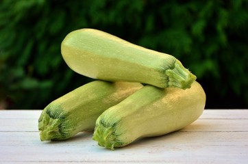 Fresh zucchini on a white table on green background garden on a summer day closeup.