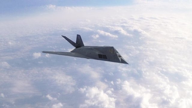 Stealth Fighter Bomber Aircraft 