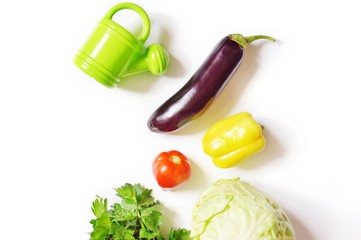 Fresh vegetables from the garden/ Eggplant, yellow pepper, tomato, parsley, cabbage and watering can. Watering plants