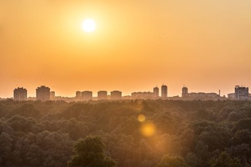 wood trees with city buildings landscape. city sunshine 