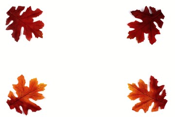  Close up of colorful autumn leaves on a white background and copy space.