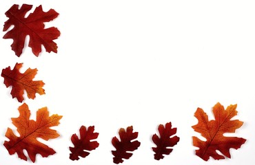  Close up of colorful autumn leaves on a white background and copy space.