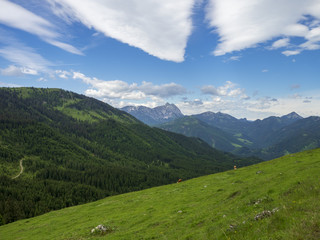 Fototapeta na wymiar Ackernalm en Autriche. Paysages naturels de montagnes et de pâturages verdoyants du tyrol