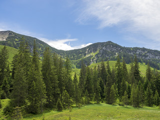 Fototapeta na wymiar Ackernalm en Autriche. Paysage naturel et typique du tyrol