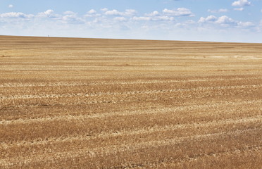 Boundless fields after harvest in Summer time.