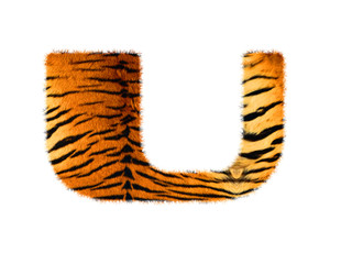 Furry text letter made of tiger skin texture. Character render isolated on white.