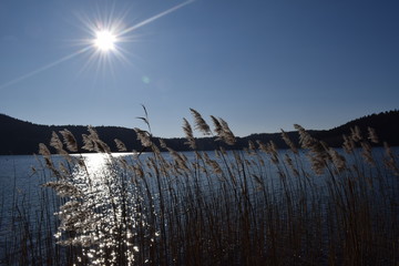 reflet du soleil sur le lac