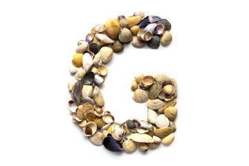 Alphabet of seashells on a white background. Letter G. Designer font