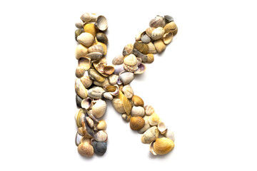 Alphabet of seashells on a white background. Letter K. Designer font