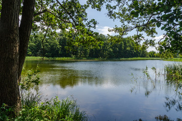 Fototapeta na wymiar Krakower See, Krakow am See, Mecklenburgische Seenplatte
