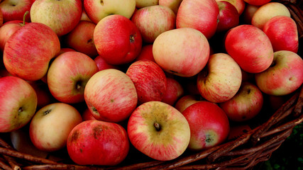 Colorful Apple In Basket