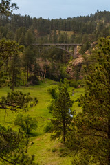 Bridge and Lush Valley in Wind Cave