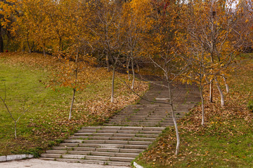 Fototapeta na wymiar Autumn Landscape in the park