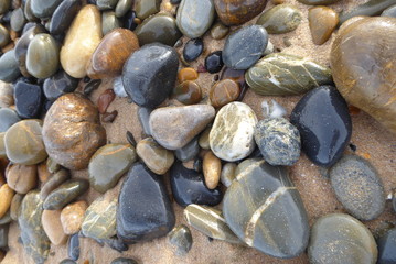 rocks