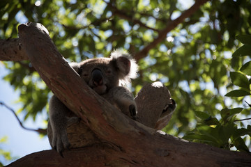 A rare time of awakening.