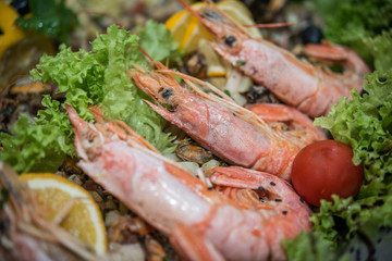 Grilled lobsters in fresh green salad