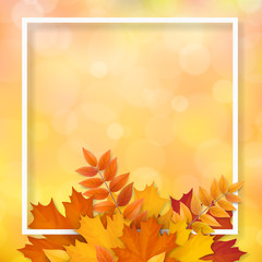 Naklejka na ściany i meble White frame with autumn fallen leaves. Background for seasonal sale offer or design element banner.