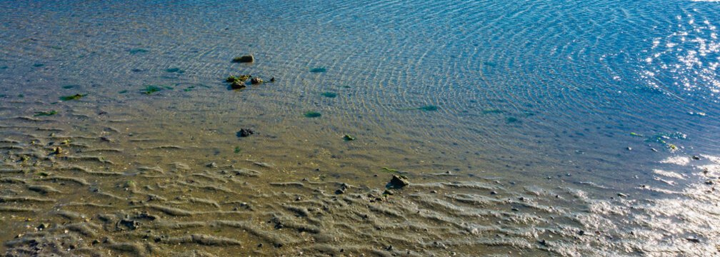 Sea water puddle texture or background