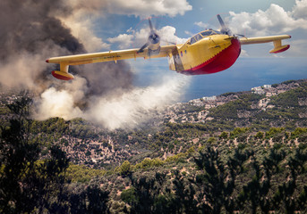 Löschflugzeug fliegt über einen Waldbrand