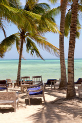 beach with coconut palm and sea