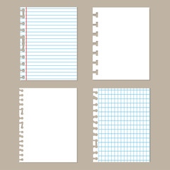 Pieces of torn paper.Set of different notebook paper. School sheets