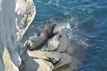 La Jolla Shores, San Diego, Ca.
A room with a FEW!