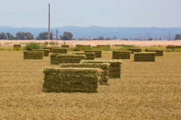 bales of hay